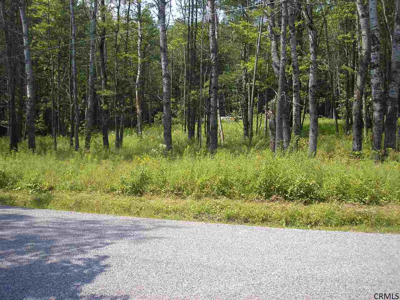 Lower Road Middleburgh, NY 12122 - Photo 2 of 5 Photo 2