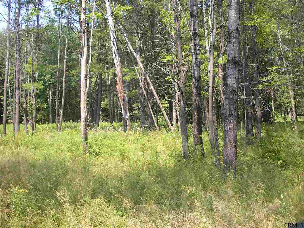 Lower Road Middleburgh, NY 12122 - Photo 4 of 5 Photo 4