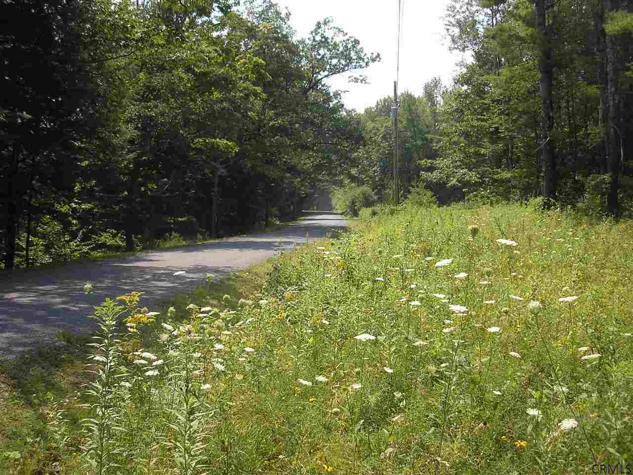 Lower Road Middleburgh, NY 12122 - Photo 5 of 5 Photo 5