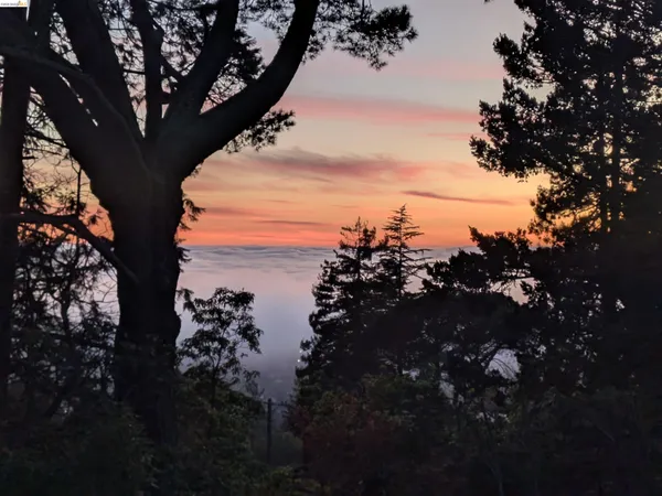 $2,195,000 | 1170 Sterling Avenue, Berkeley, CA 94708