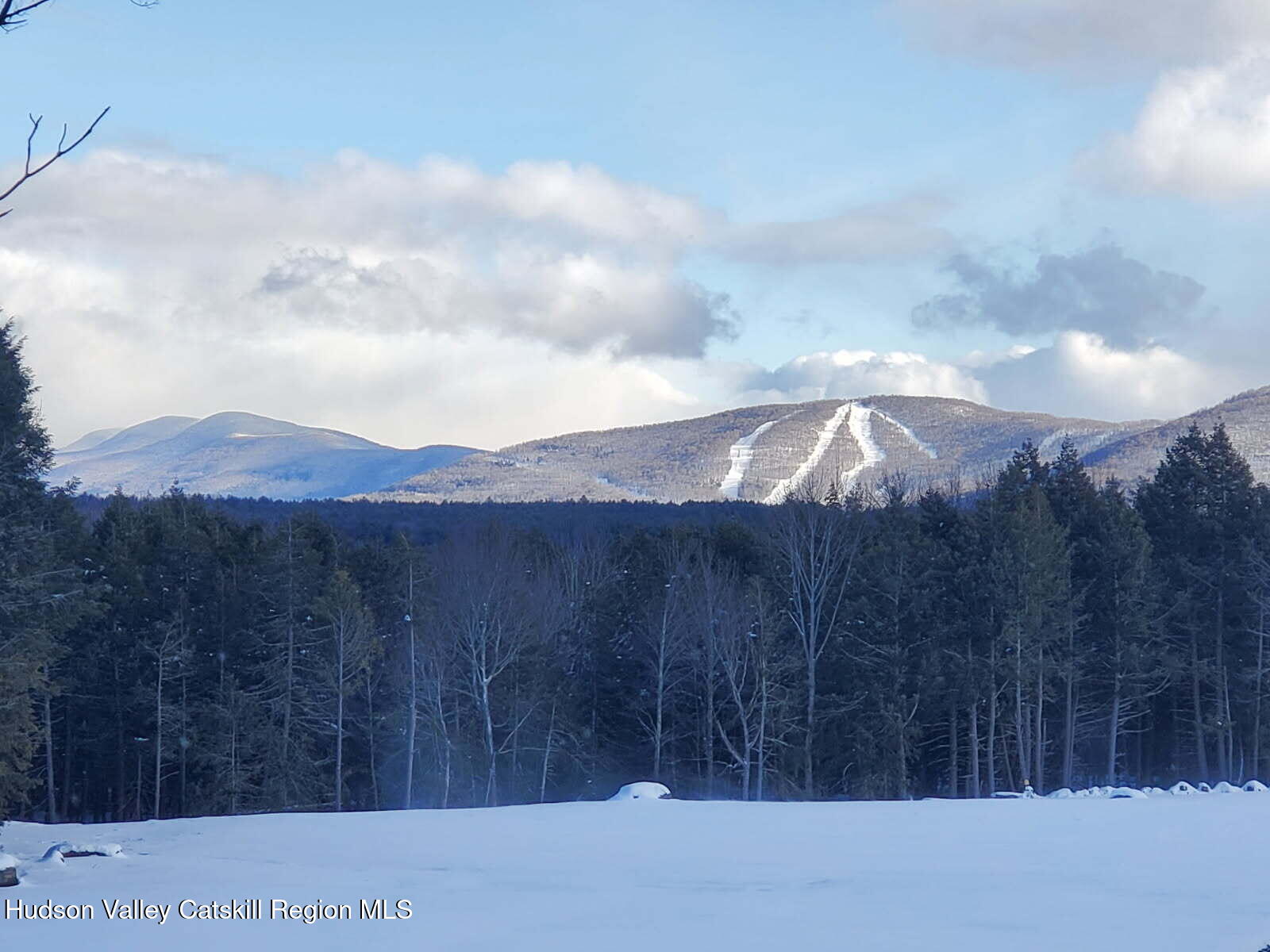 89 Zinno Road Ashland, NY 12496 - Photo 2 of 40 windham slopes
