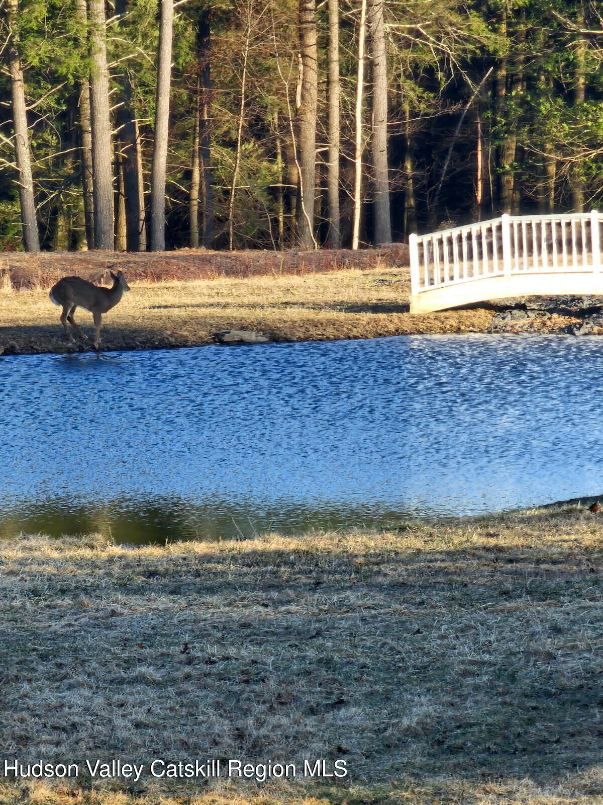 89 Zinno Road Ashland, NY 12496 - Photo 34 of 40 image000000(16)
