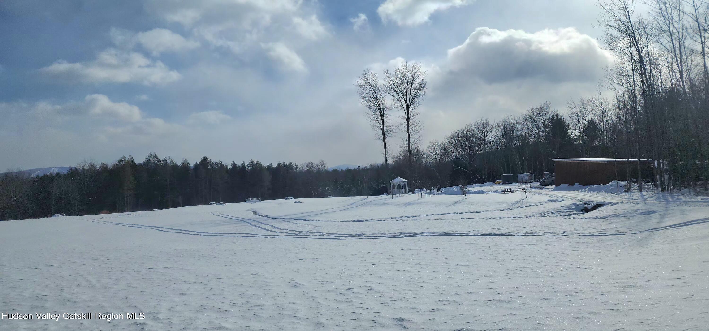 89 Zinno Road Ashland, NY 12496 - Photo 41 of 41 a view of a backyard of the house