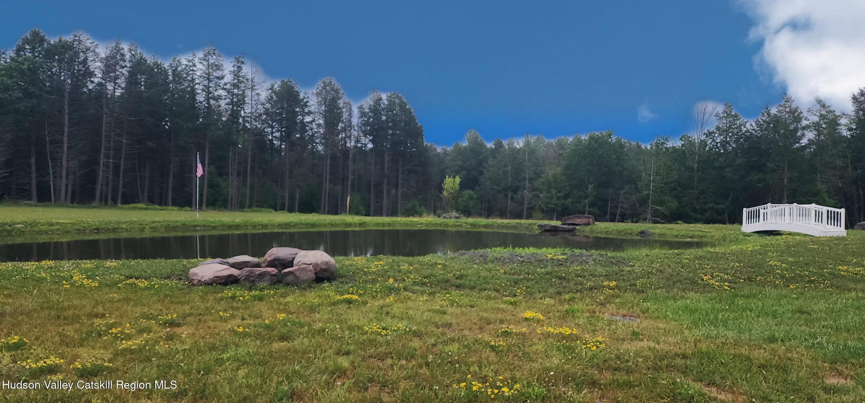 89 Zinno Road Ashland, NY 12496 - Photo 6 of 41 a backyard of a house with lots of green space and fountain
