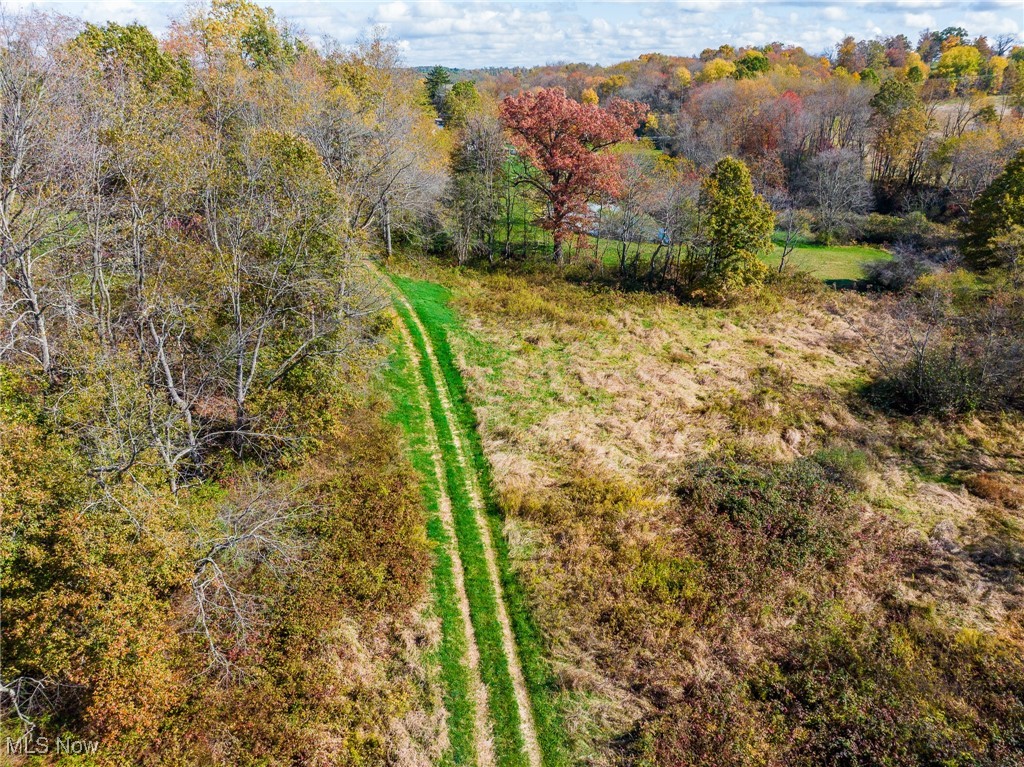 Emerick Road Kensington, OH 44427 - Photo 41 of 50 View of rural area
