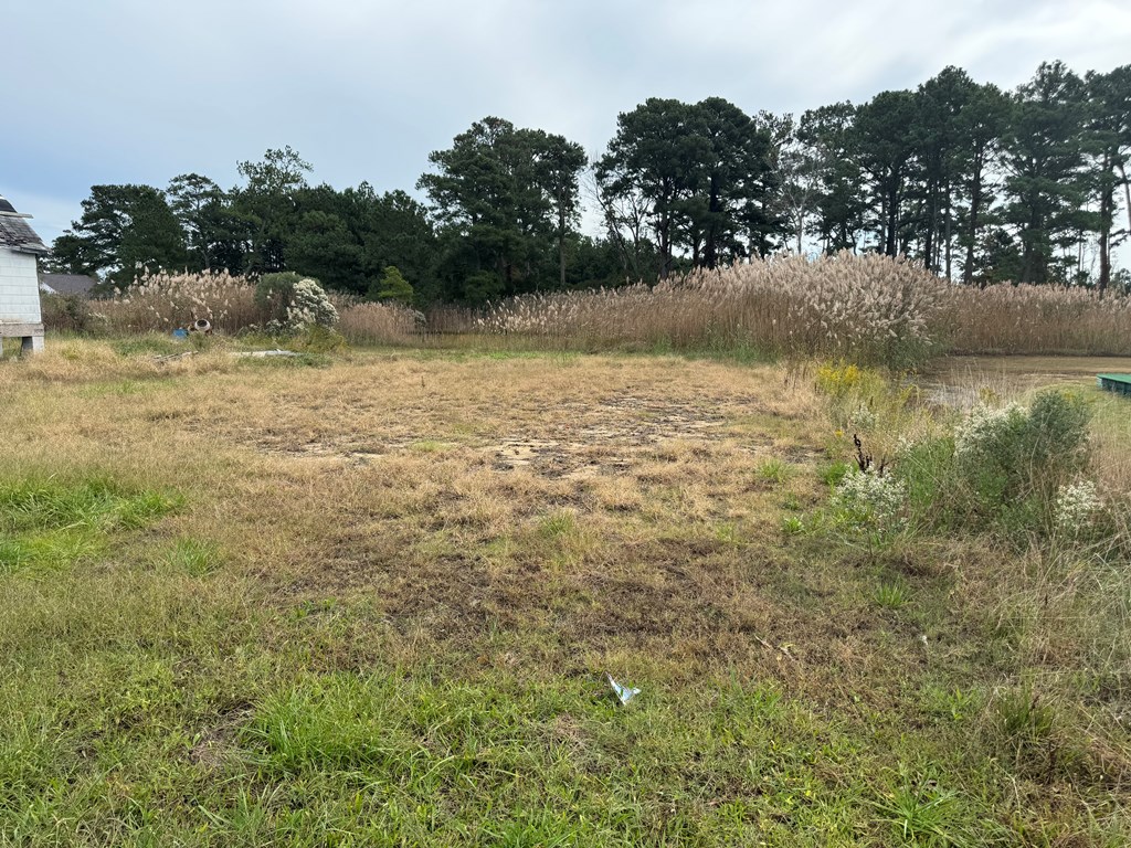 Lot 76 Main Street, Unit 76 Melfa, VA 23410 - Photo 4 of 8