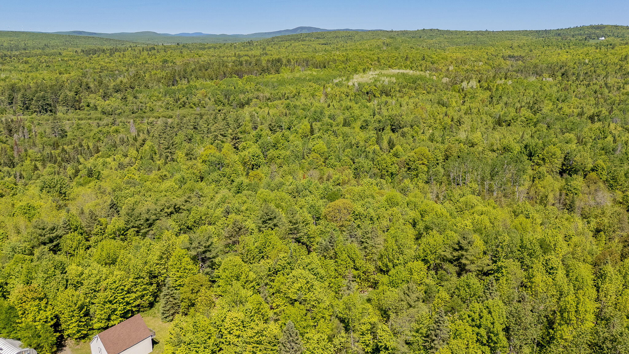 131 Gales Road Abbot, ME 04406 - Photo 123 of 128 DJI_20260603104421_0541_D
