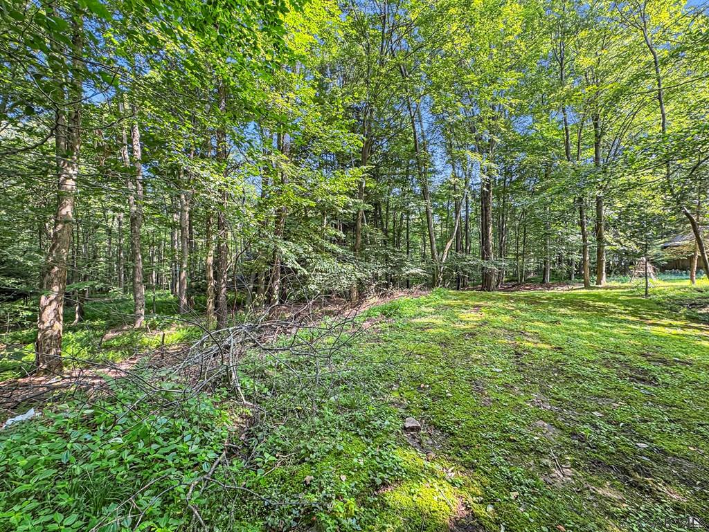 496 Vic Miller Road Strongstown, PA 15957 - Photo 7 of 47