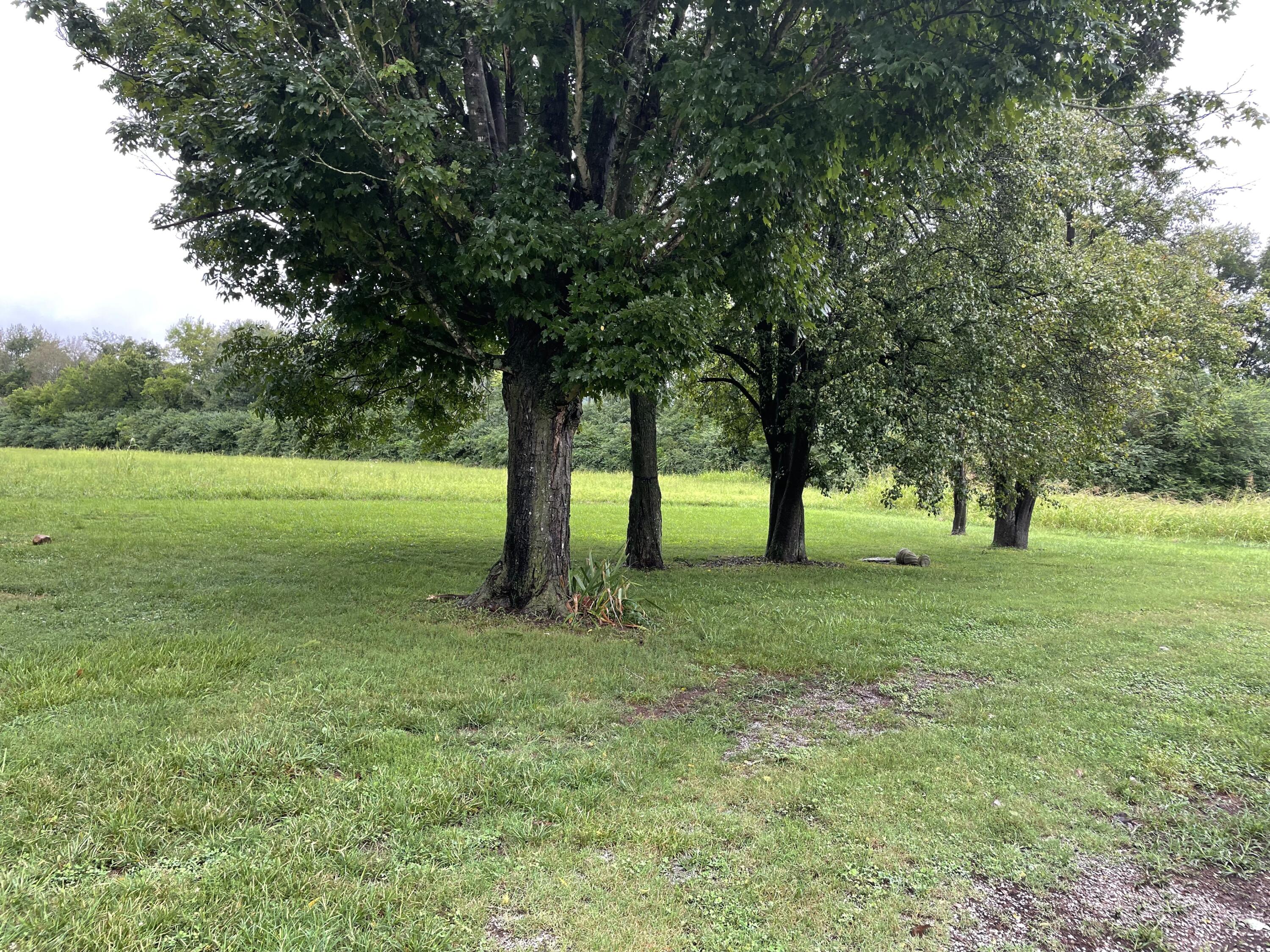2579 West Valley Road Dunlap, TN 37327 - Photo 13 of 15 Back yard