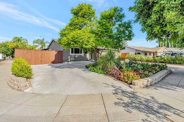 a view of a garden with potted plants