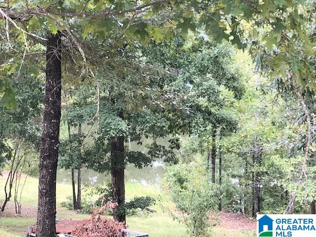 561 Whitetail Run Chelsea, AL 35043 - Photo 4 of 17