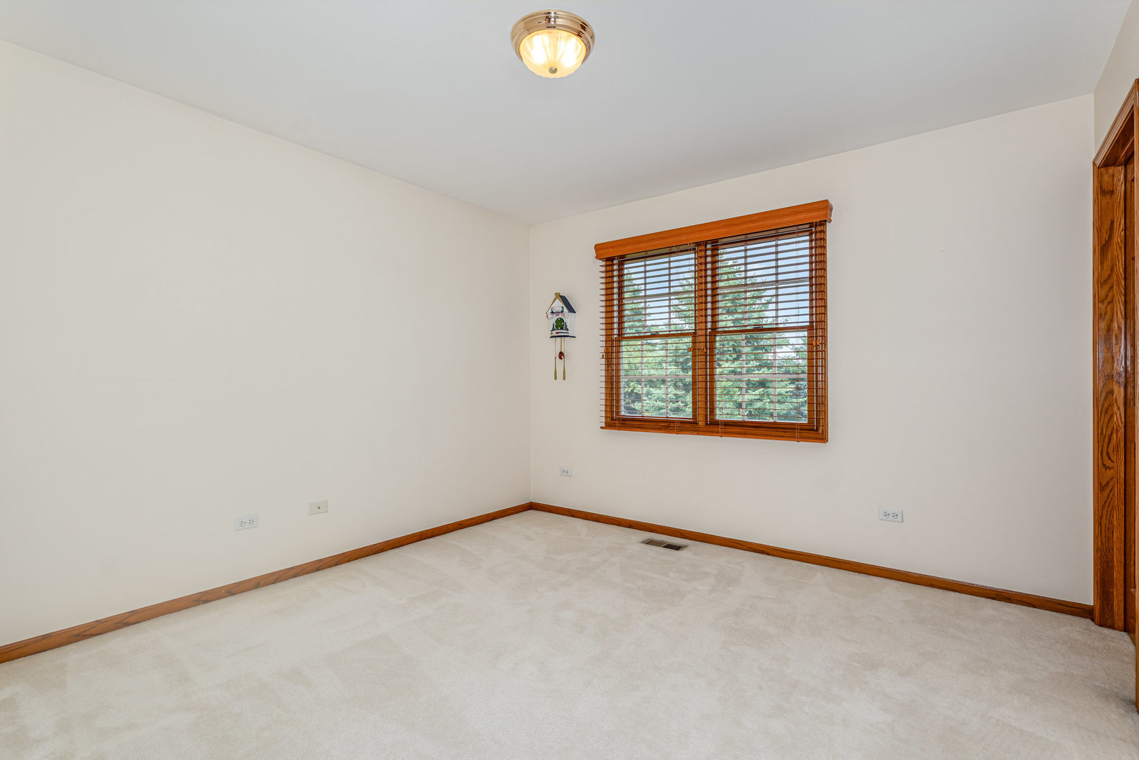 6309 Ventura Court Plainfield, IL 60586 - Photo 17 of 23