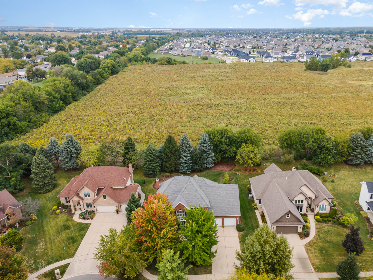 6309 Ventura Court Plainfield, IL 60586 - Photo 3 of 23