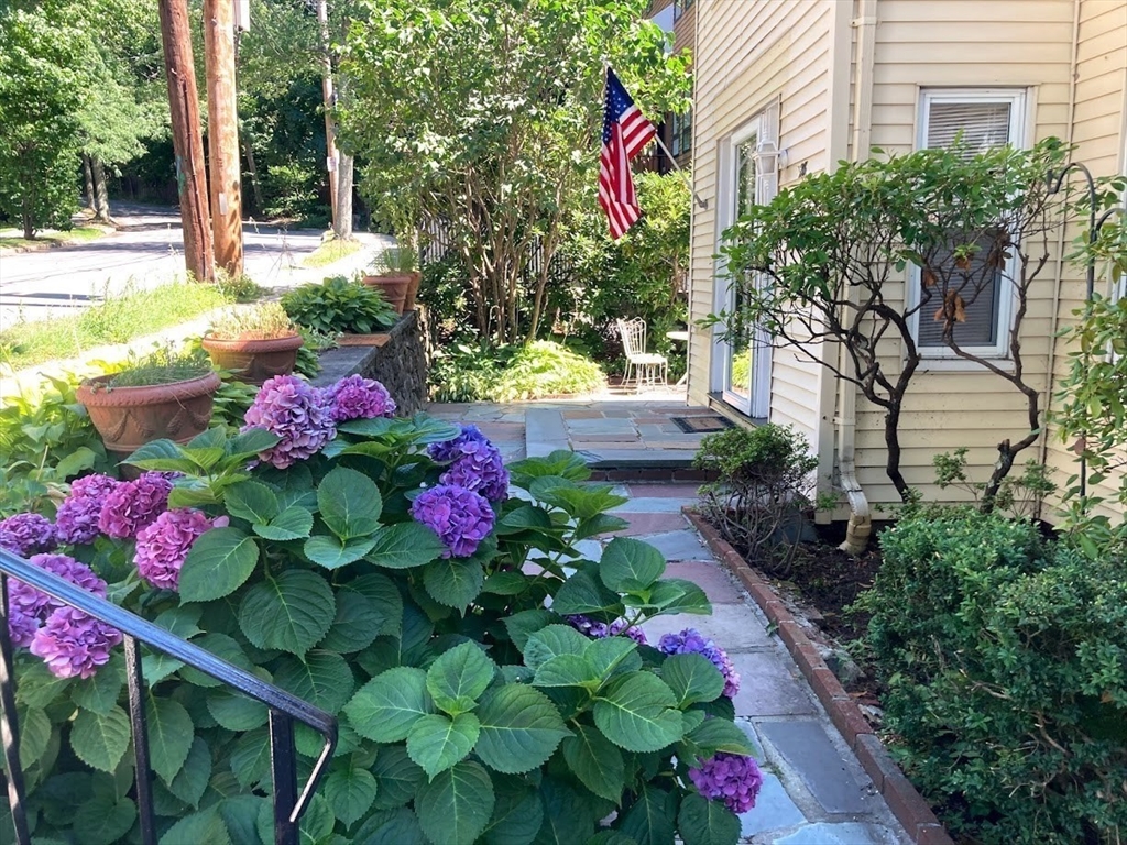 a view of a flower in a garden