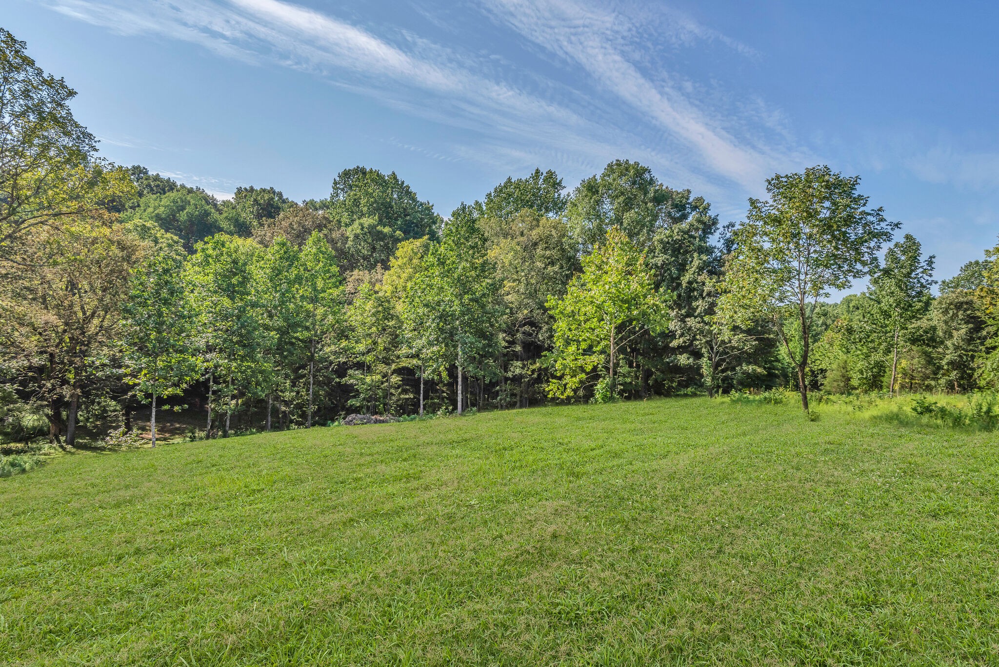 1030 Promise Land Road Charlotte, TN 37036 - Photo 3 of 36 Gallery Image 3
