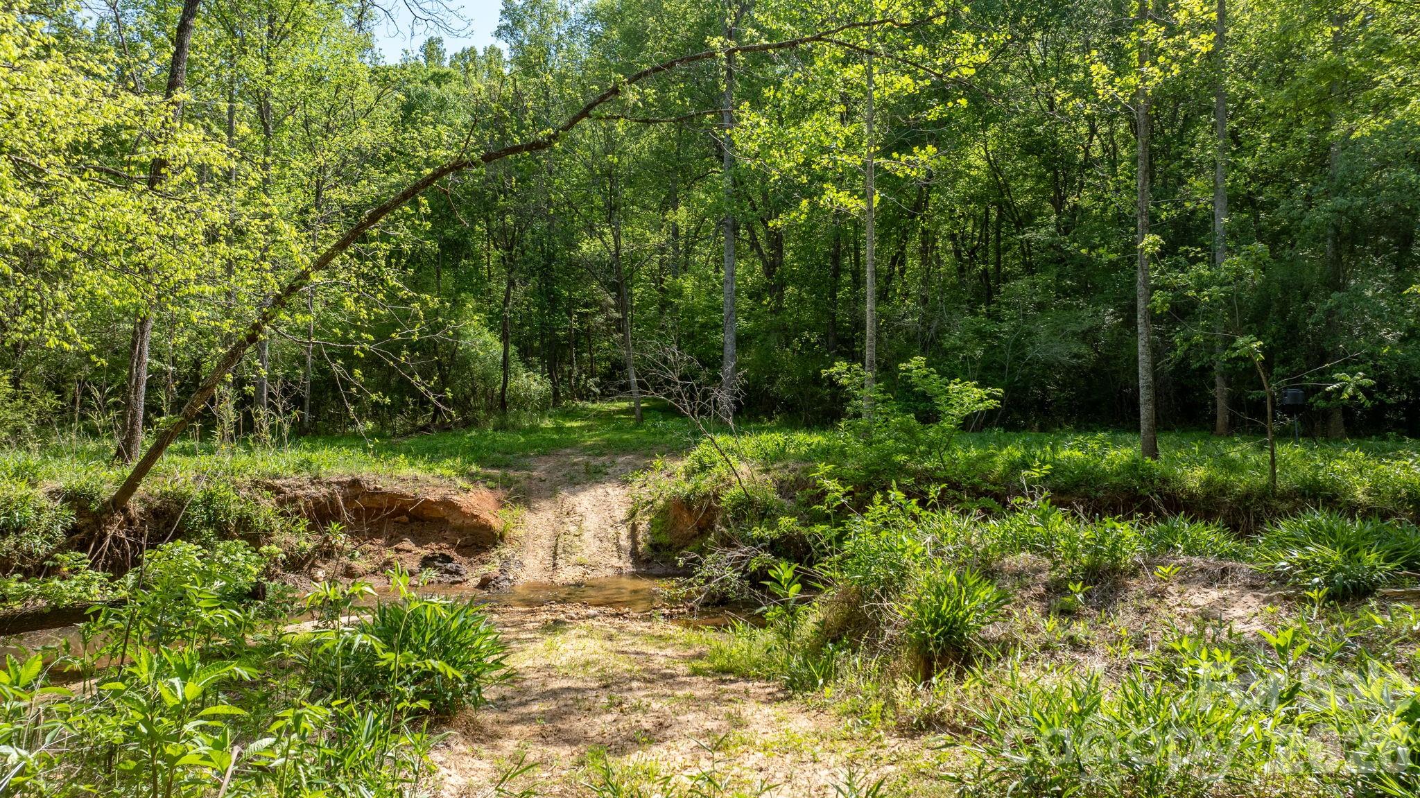 0 Stikeleather Road Hiddenite, NC 28636 - Photo 18 of 28 a view of a garden with plants and large trees
