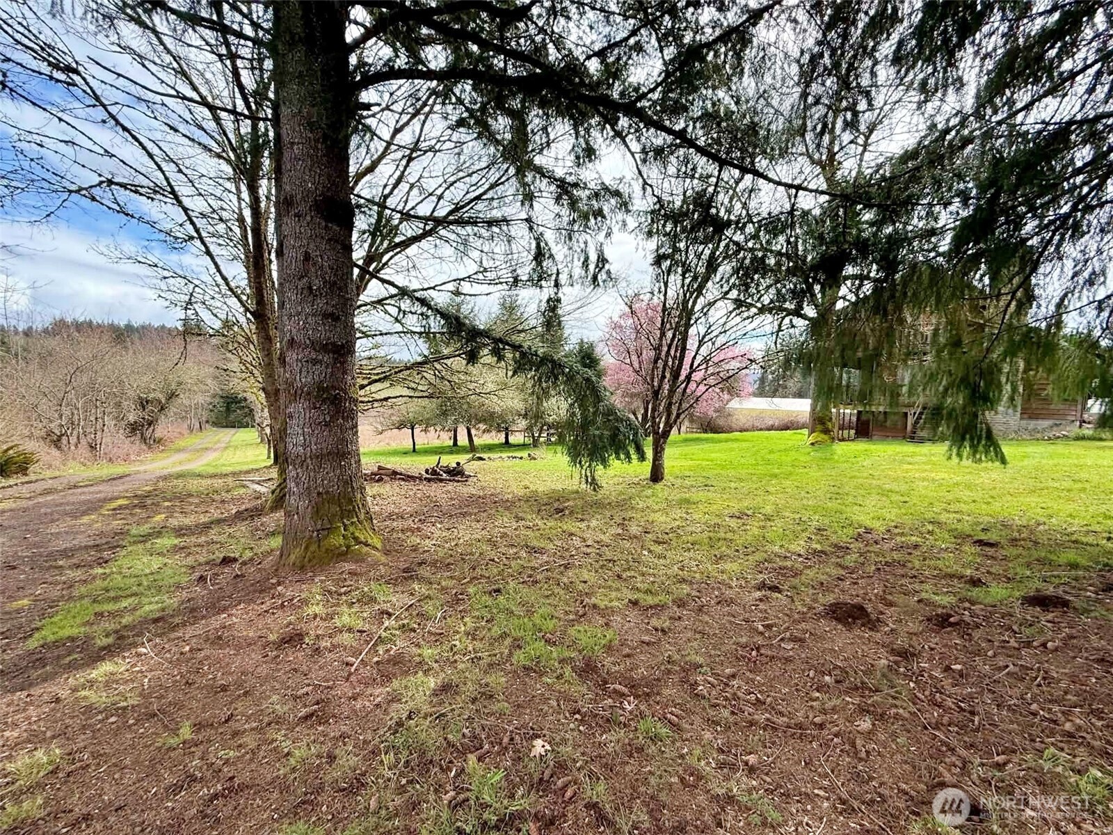 141 Filbert Road Silver Creek, WA 98585 - Photo 31 of 33 Gallery Image 31