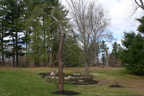 237 Holt Road Andover, MA 01810 - Photo 3 of 27 a view of a park