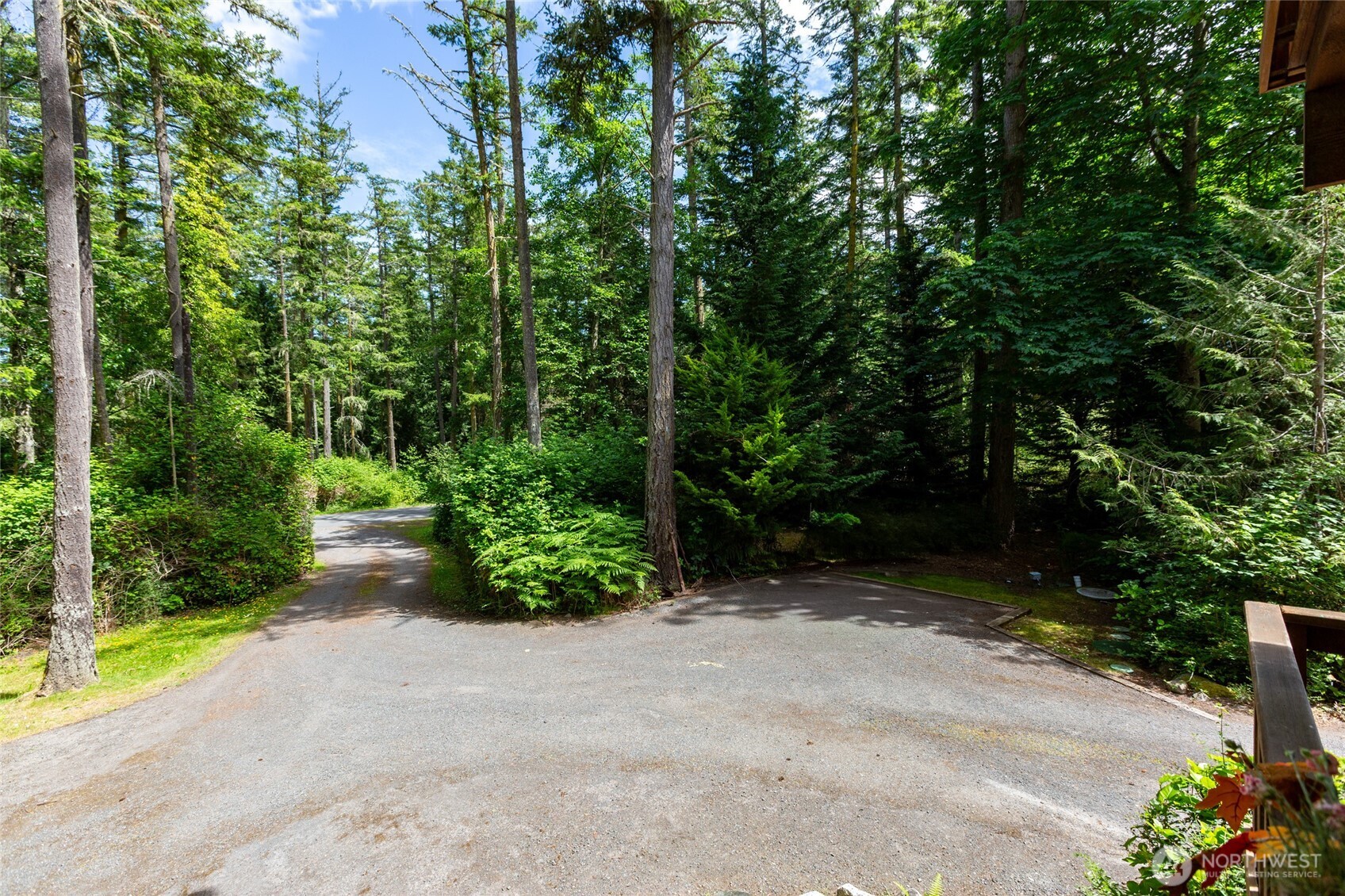 128 White Point Road Friday Harbor, WA 98250 - Photo 38 of 40 a view of path plants and trees