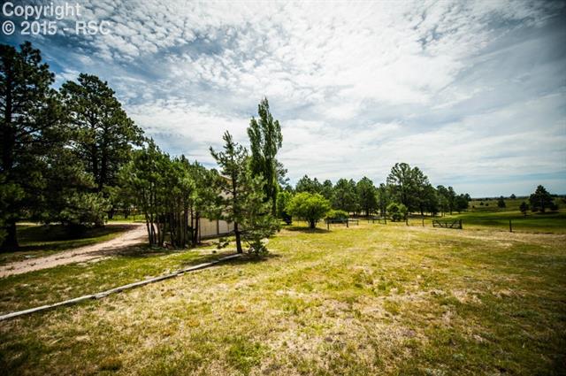 7315 Baker Road Colorado Springs, CO 80908 - Photo 7 of 36