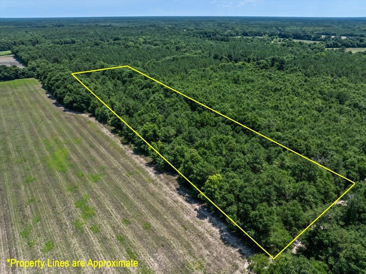 Tbd 5.3-acres Tbd 5.3-acres Springtown Road Bamberg, SC 29003 - Photo 8 of 11
