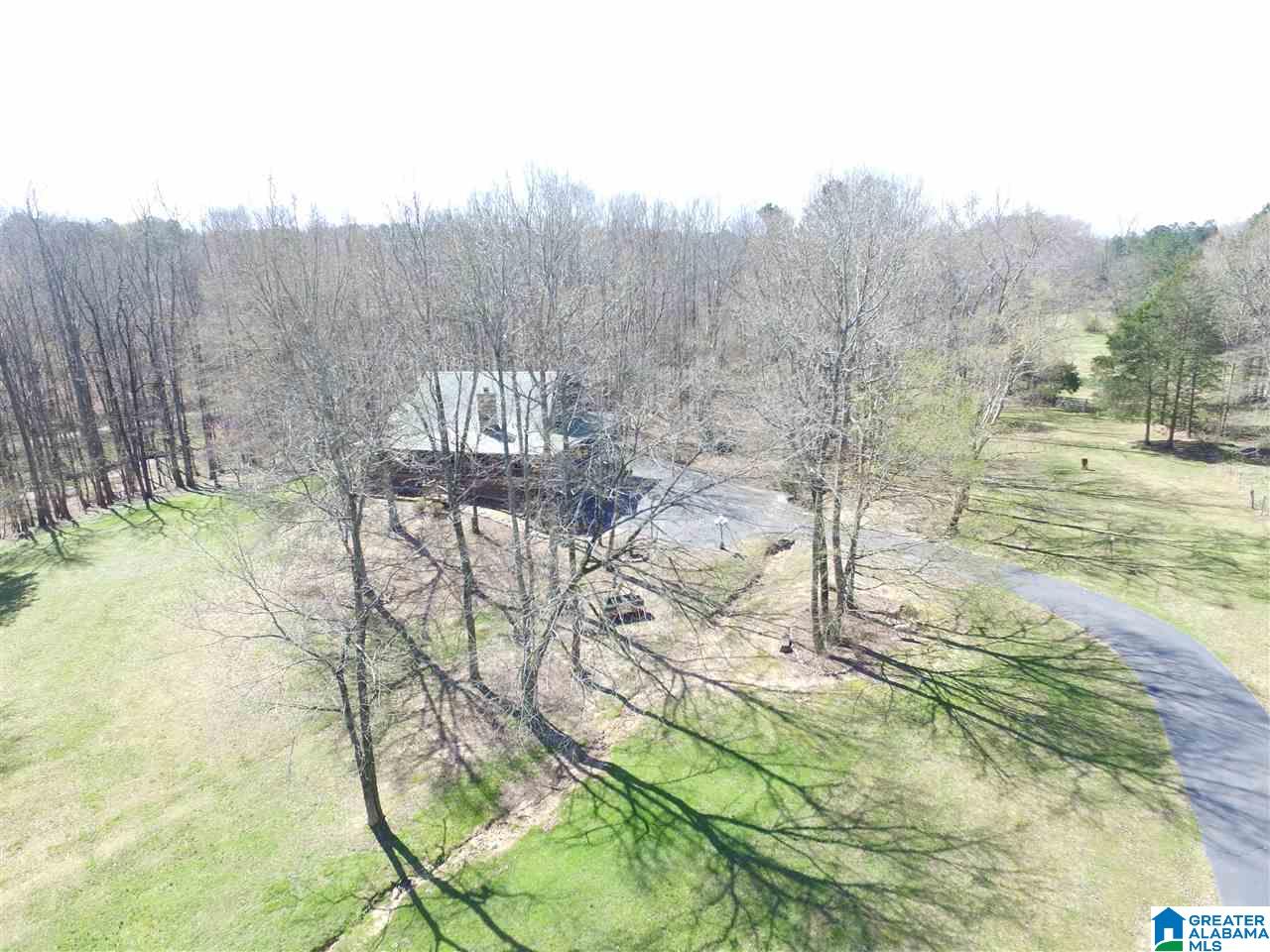 67 Hill Top Road Springville, AL 35146 - Photo 37 of 39