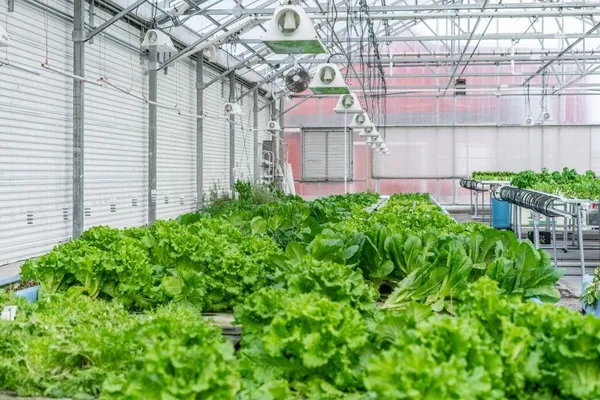 $4,900,000 | W839 Lake Orchard, Sheboygan, WI 53083