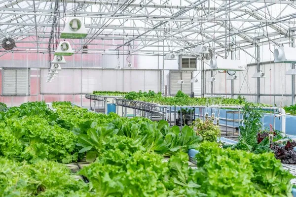 $4,900,000 | W839 Lake Orchard, Sheboygan, WI 53083