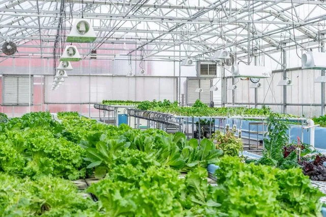 $6,500,000 | W839 Lake Orchard, Sheboygan, WI 53083