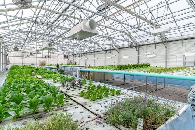 $6,500,000 | W839 Lake Orchard, Sheboygan, WI 53083