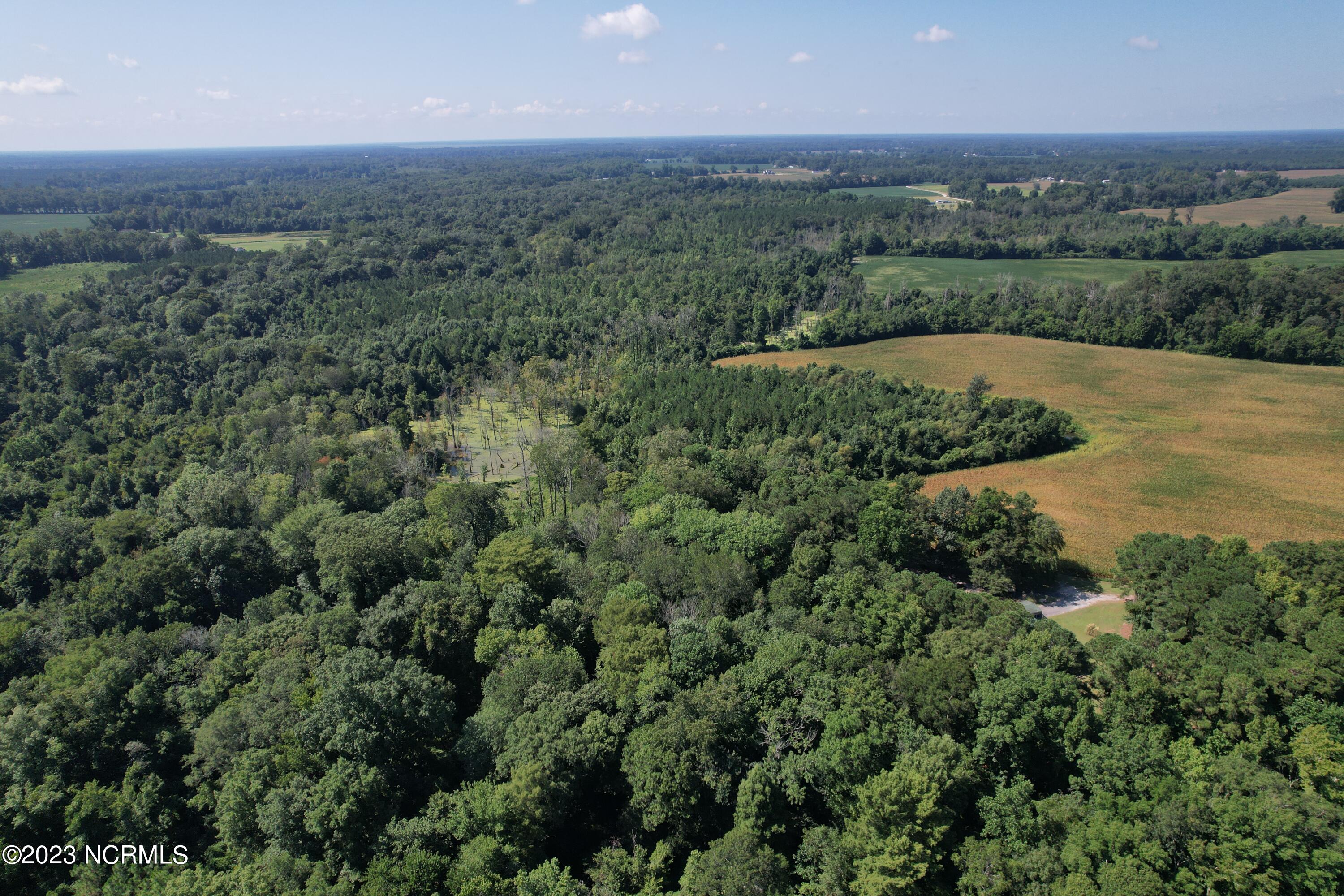 0 Wintergreen Road Cove City, NC 28523 - Photo 11 of 70 Wintergreen Road Road, Cove City