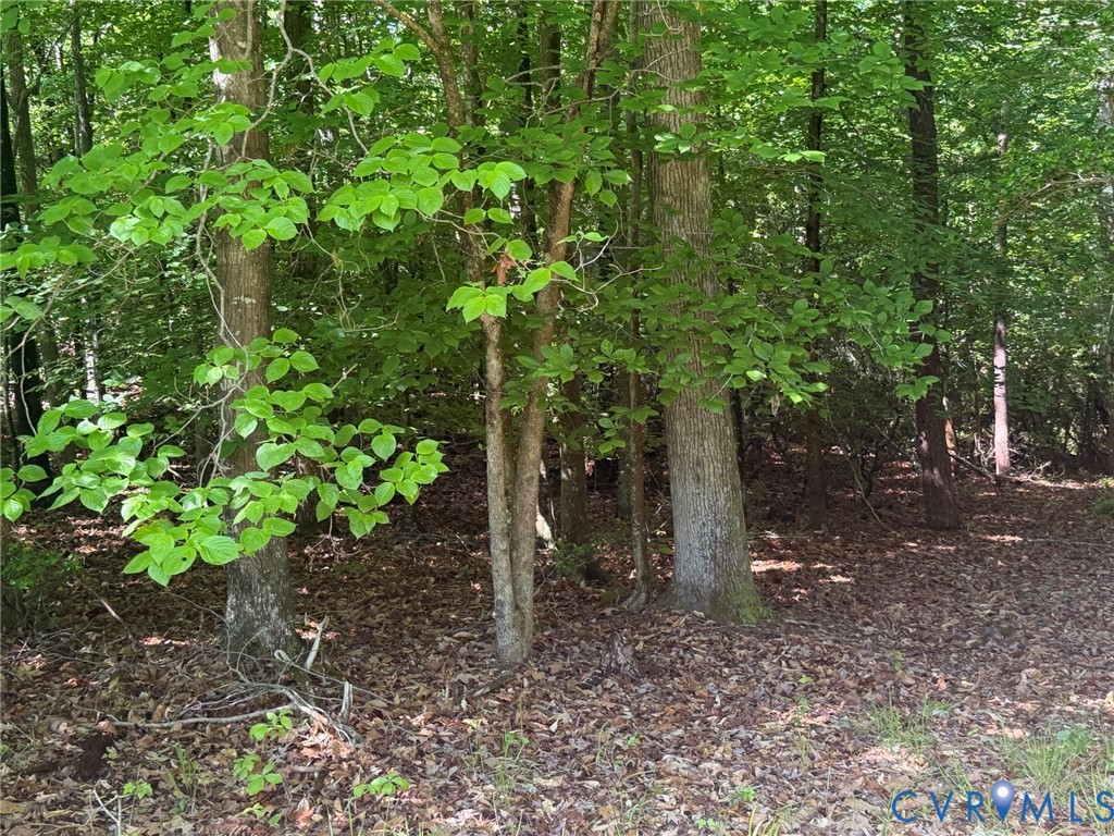 Tbd Cooks Mill Road Lanexa, VA 23089 - Photo 14 of 26
