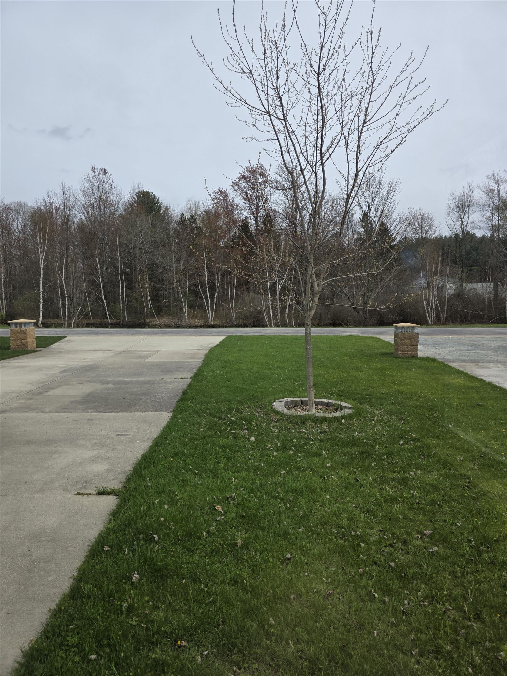 6100 Larson Road, Unit LOT: LOT 12 South Boardman, MI 49680 - Photo 3 of 16