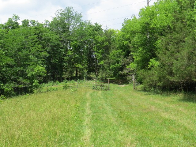 200 Hardy Road Pulaski, TN 38478 - Photo 2 of 20
