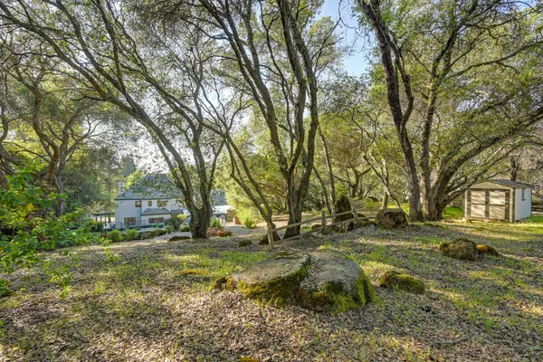 front view of a house with a tree in the yard