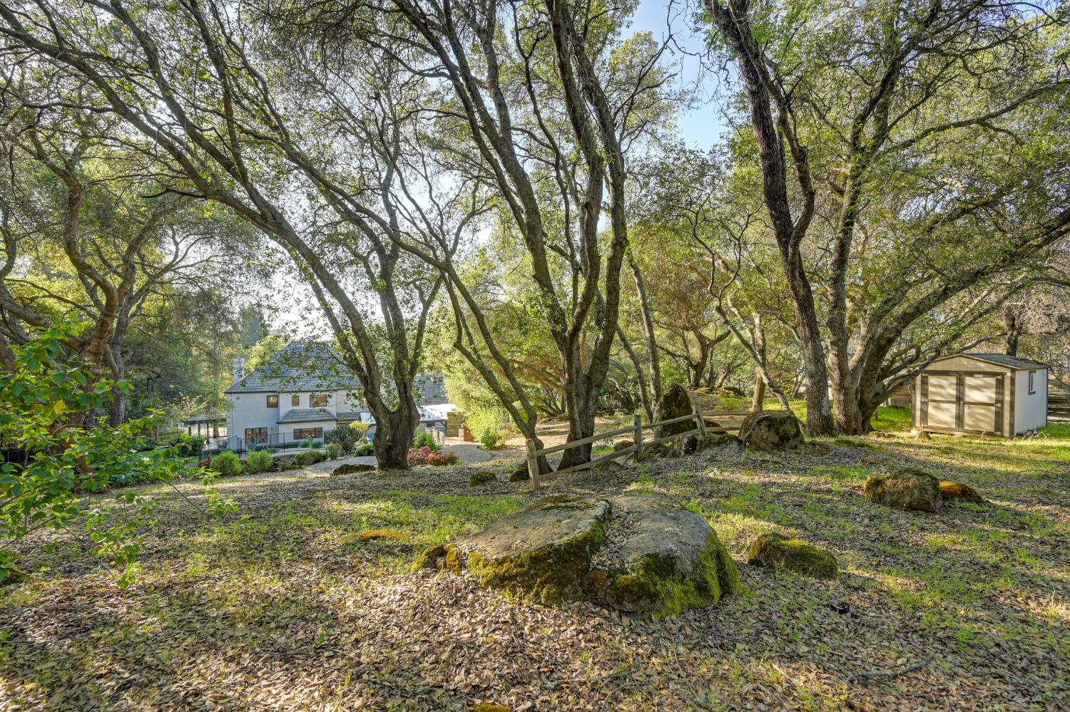 4911 Lexington Circle Loomis, CA 95650 - Photo 37 of 48 a backyard of a house with lots of green space
