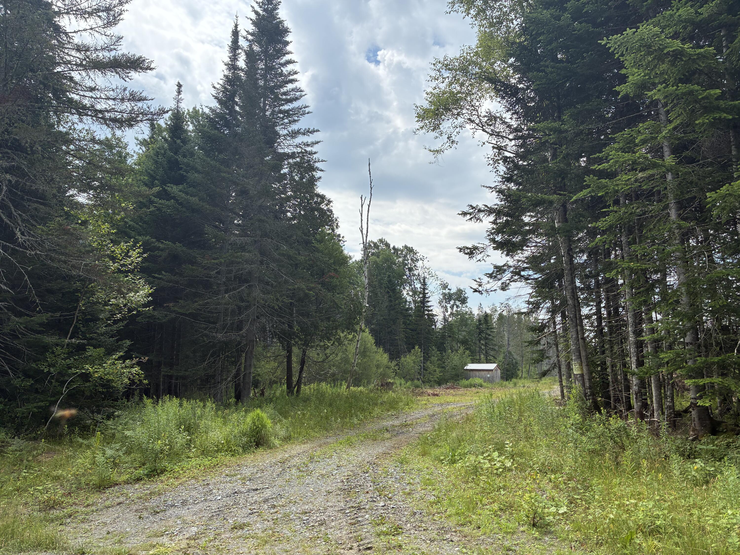 Lot 56 Gile Road Rangeley, ME 04970 - Photo 5 of 21 IMG_1535