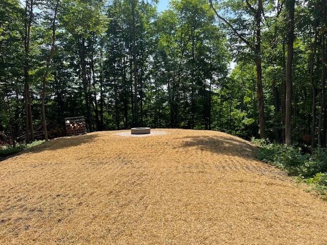 2205 Devlin Road Central Lake, MI 49622 - Photo 12 of 58 Gallery Image 12
