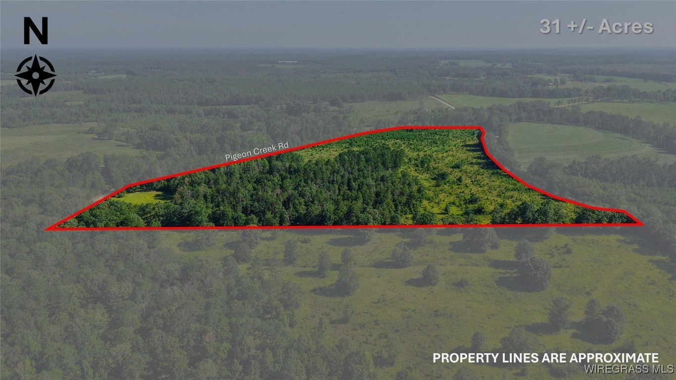 0 Anderson Road Red Level, AL 36474 - Photo 8 of 12 Gallery Image 8