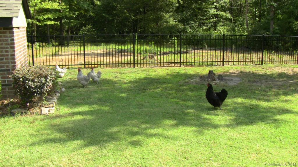 1518 Clarence Secrest Road Monroe, NC 28110 - Photo 8 of 18 Gallery Image 8