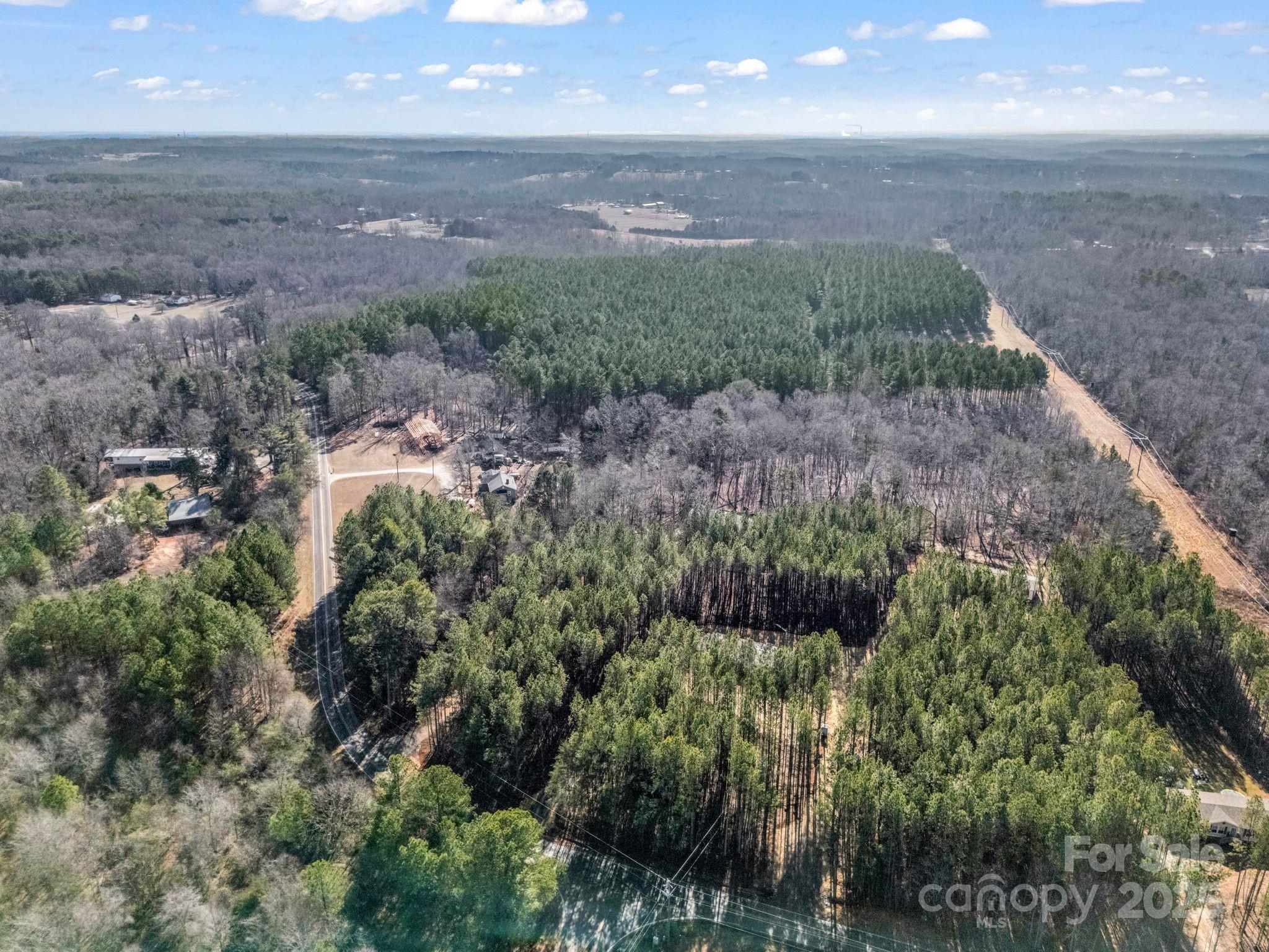 864 Tiney Road Ellenboro, NC 28040 - Photo 30 of 33 a view of a garden with a building