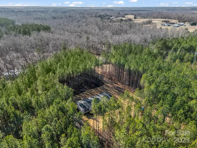 a view of a yard with large trees and plants