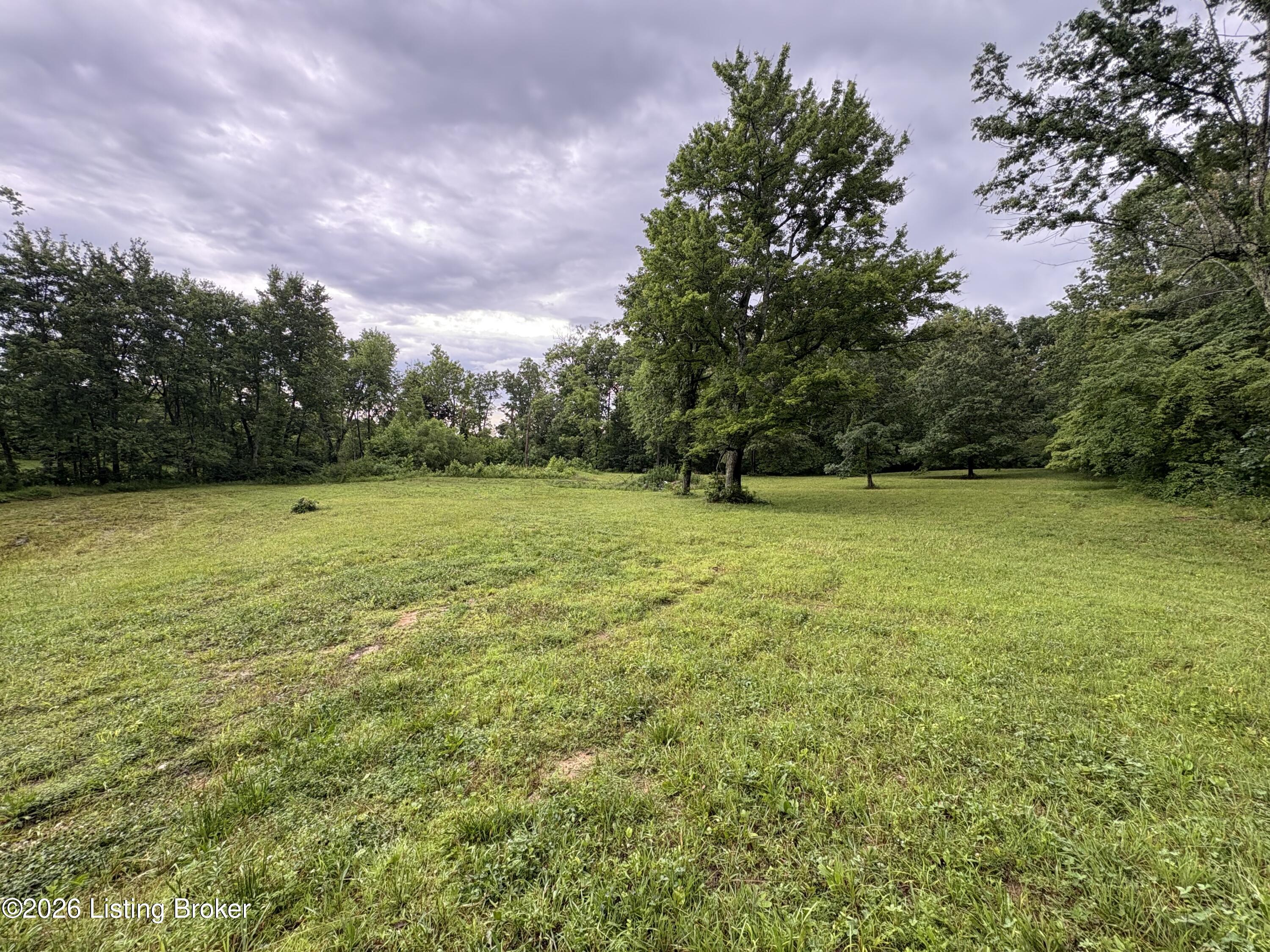 105 John Morris Road Custer, KY 40115 - Photo 21 of 26 IMG_0356