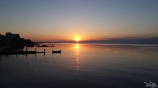 a backyard of a house with lots of green space and plants