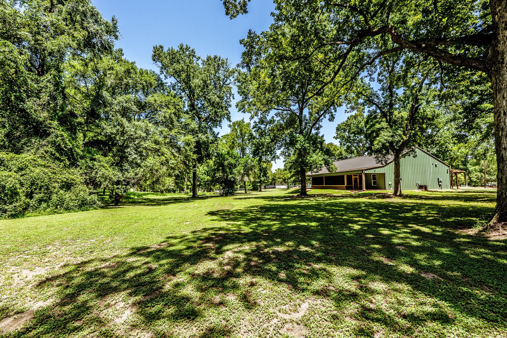 13334 Fultz Road Conroe, TX 77304 - Photo 40 of 49 a view of a tree in a yard