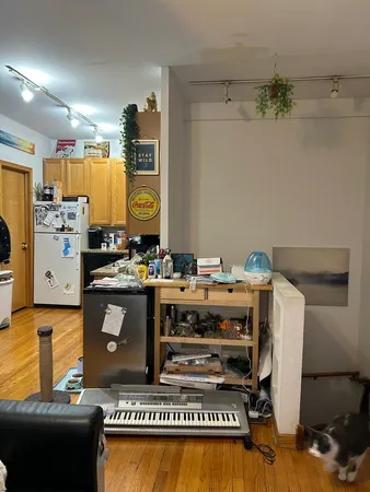 $2,995 | 628 West Patterson Avenue, Unit 1E, Chicago, IL 60613