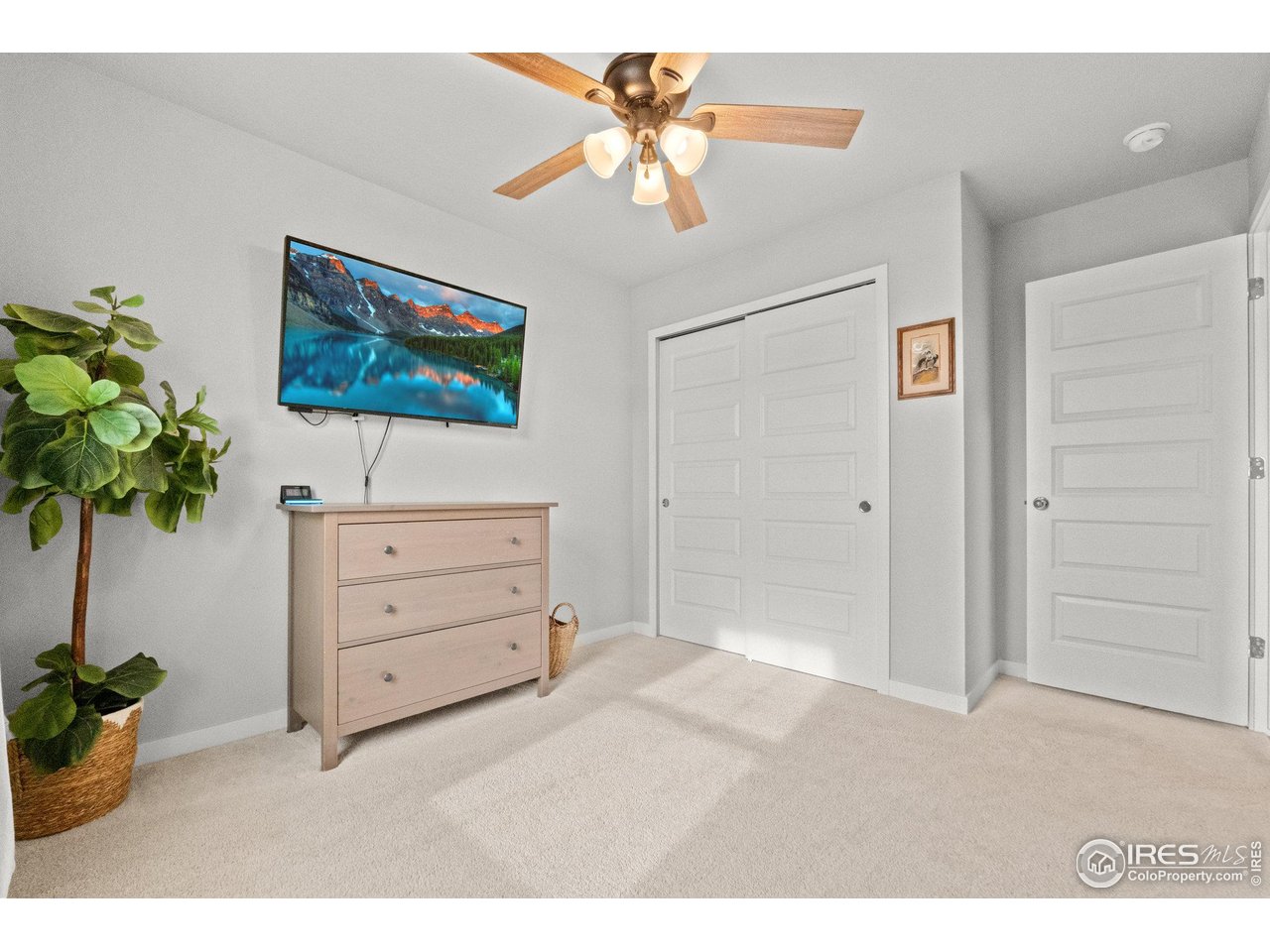 515 Wildcat Parkway Wiggins, CO 80654 - Photo 7 of 43 a living room with furniture and a potted plant