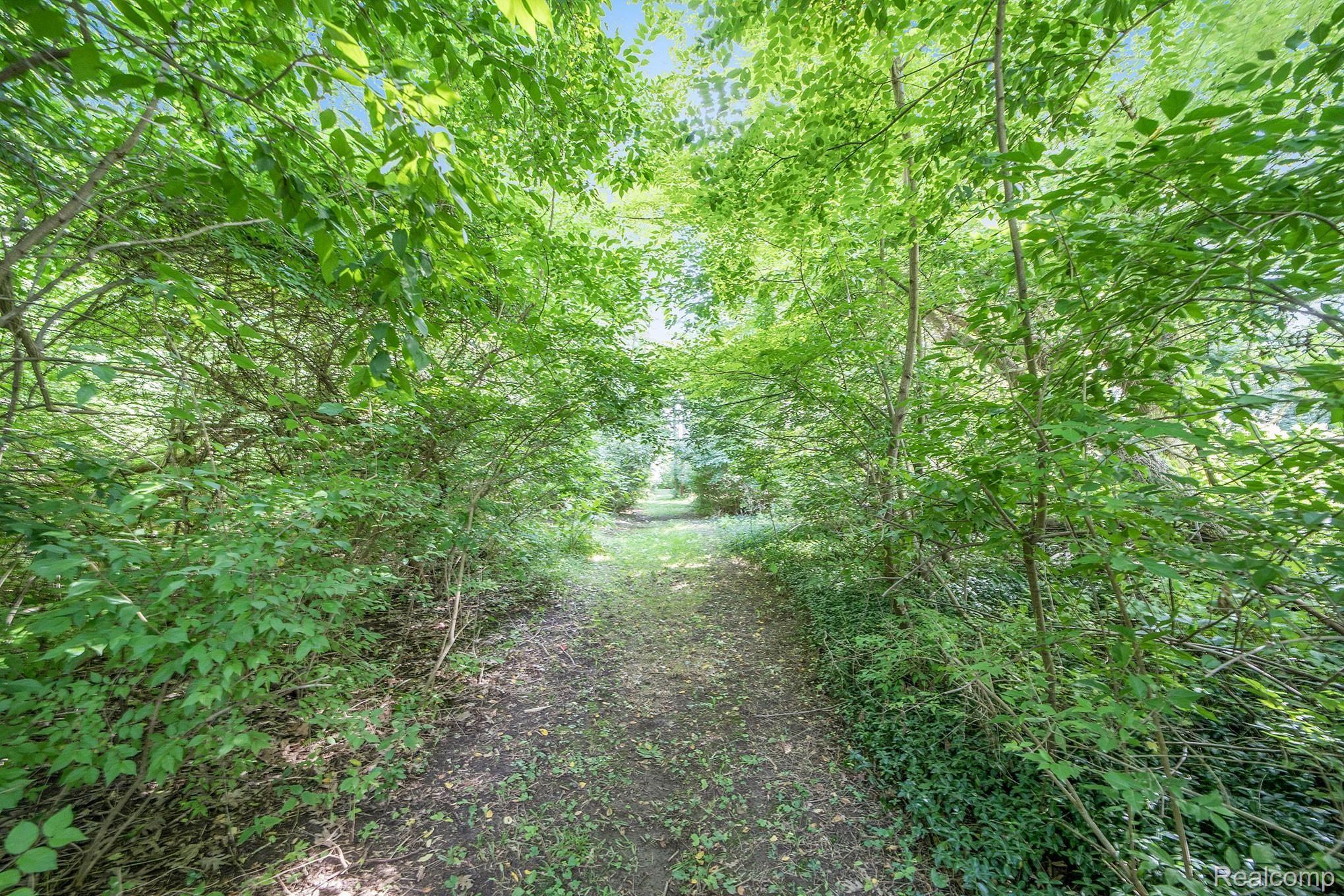 7700 Ranch Estates Road Clarkston, MI 48348 - Photo 41 of 49 017A2061.jpg