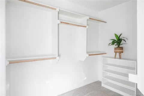 a view of staircase with a potted plant on the wall