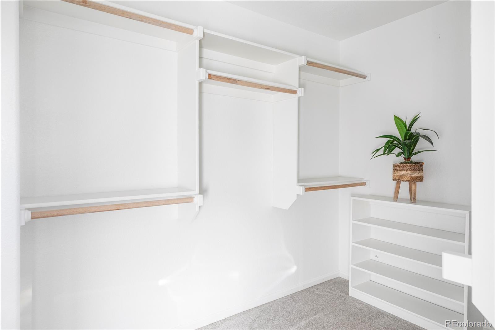 12829 Claude Place Thornton, CO 80241 - Photo 32 of 39 a view of staircase with a potted plant on the wall
